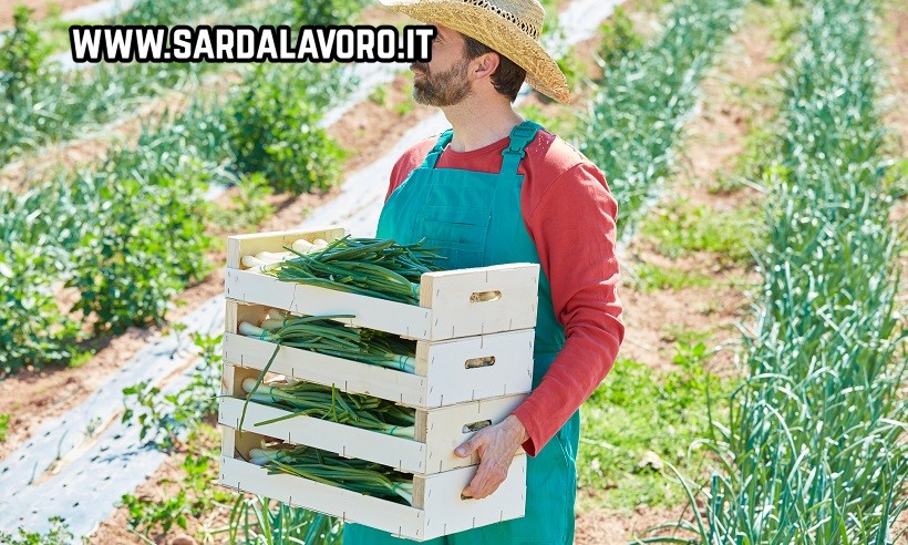 agricolo